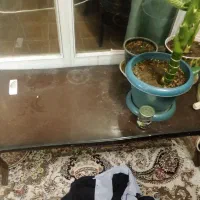 مبلمان|مبلمان خانگی و میز عسلی|نجف‌آباد, فردوسی|دیوار