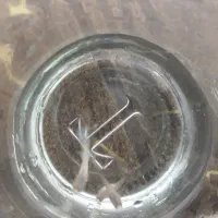 ماهی گوپی|ماهی|اسفراین, |دیوار