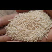 برنج عنبربو