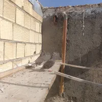 جفت سرکه ای دم سفید سو سرور|پرنده|اصفهان, مرداویج|دیوار