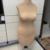 مانکن سوزن خور در حد نو ۲ عدد