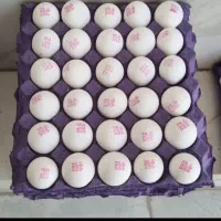 پخش عمده وخرده تخم مرغ  زرین پر تمام نقاط تهران|خوردنی و آشامیدنی|تهران, نازی‌آباد|دیوار