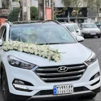 تشریفات و ازدواج آسان رویای وصال|خدمات پذیرایی، مراسم|اهواز, کیانپارس |دیوار