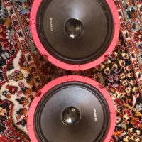 ضبط و باند پایونر