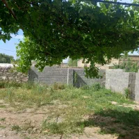 باغ ویلا