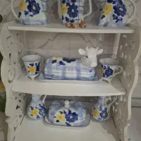 ظروف گل پنبه