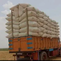 کاه