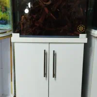 آکواریوم خم فیلتر سطلی چوب آبنوس و پمپ هوا و نور|ماهی|کرمانشاه, |دیوار