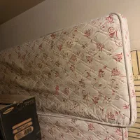 تشک دست دو سالم