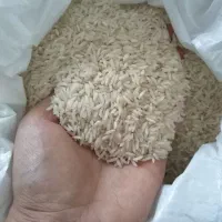 برنج هاشمی