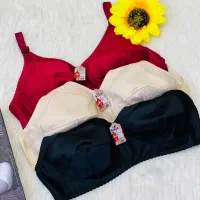 سوتین زنانه|لباس|آران و بیدگل, |دیوار