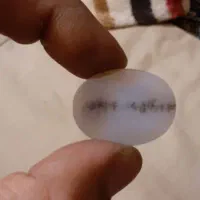 شجر|جواهرات|شاهین‌شهر, خانه کارگر|دیوار