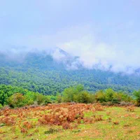 ۴۰۰ متر زمین، دهکده ی توریستی کُلیَک