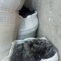 پشم گوسفندی