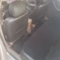 سمند خانگی|خودرو سواری و وانت|شهرضا, |دیوار