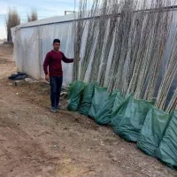 نهالفروشی نوین نهال ارسال تمام شهرها|خدمات باغبانی و درختکاری|تهران, حر|دیوار