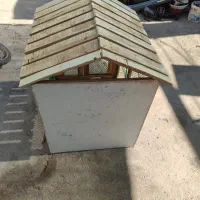 قفس|لوازم جانبی حیوانات|رفسنجان, |دیوار