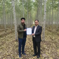 فروش ویــژه صنـوبــرهای ممتاز با ضمانت رشد|خدمات باغبانی و درختکاری|سنندج, |دیوار