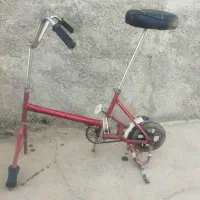 گل و گلدان و دوچرخه ثابت ورزشی|گل مصنوعی|کوهدشت, |دیوار