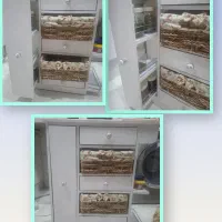 جاسبی زمینی وپیاز،