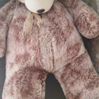 خرس بزرگ