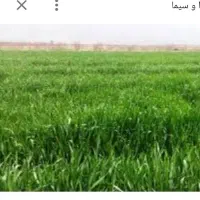 اجاره-زمین-کشاورزی