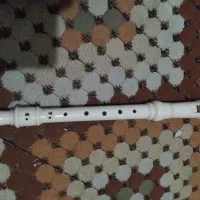 فلوت
