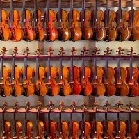 انواع ویولن در فروشگاه OZEL