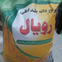 برنج پاکستانی