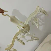 آویز لباس و شال و روسری