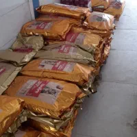 rexpetshopپخش عمده غدا خشک سگ و گربه اومرو