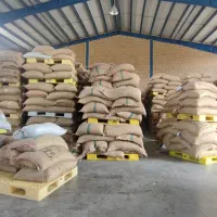 دان قهوه ، ویتنام ، اوگاندا ، برزیل ،کلمبیا|عمده‌فروشی|تهران, بازار|دیوار