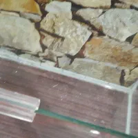 اکواریم|ماهی|شوش, |دیوار