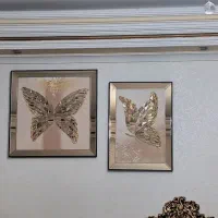 فروش قاب پروانه شیشه ای|تابلو، نقاشی، عکس|تهران, قاسم‌آباد|دیوار
