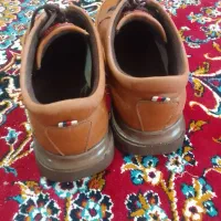 کفش|کیف، کفش، کمربند|مشهد, پورسینا|دیوار