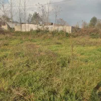 زمین باغی|فروش زمین و ملک کلنگی|رشت, جانبازان|دیوار