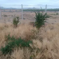 زمین باغی دشت بهریار