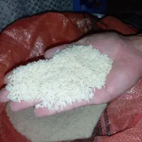 برنج دمسیاه صدری اعلاء اصیل گیلان خالص خالص|خوردنی و آشامیدنی|رشت, پل تالشان|دیوار