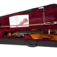 ویولن فونیکس mvp201e درحدنو با کارتن