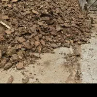 کود مرغ درجه یک کف مرغداری