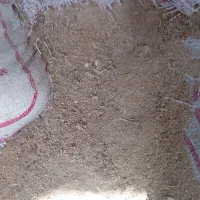 خاک اره وپوسته بادام و پسته آسیاب شده