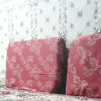 پشتی قرمز