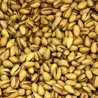 پسته مه ولات