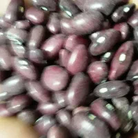 فروش لوبیا قرمز بوجاری شده ۷۰۰کیلو