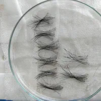 آموزش کات حرفه‌ای مو