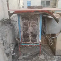 کولرابی