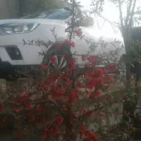 انجام هر کاری ب صورت پیمانکاری، چکی، متری