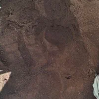 کود ورمی کمپوست