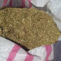 کاه لوبیا سبز|لوازم جانبی حیوانات|هشترود, |دیوار