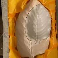 ظرف پذیرایی خارجی